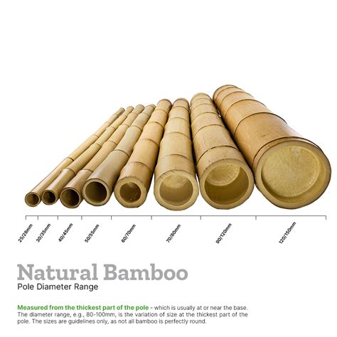 5055mm Natural Bamboo Poles 55m Uk Bamboo