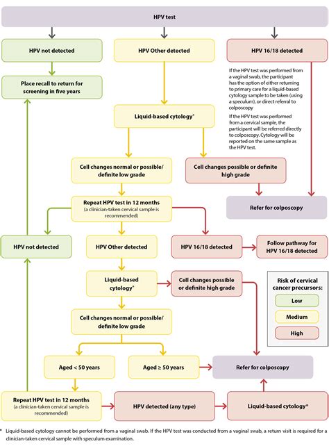 Cervical Cancer B Quick Bpacnz