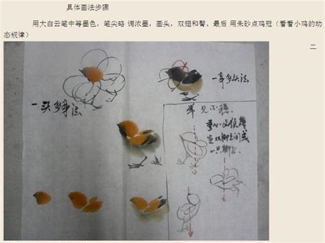 幾種國畫麻雀的繪畫方法與步驟 每日頭條