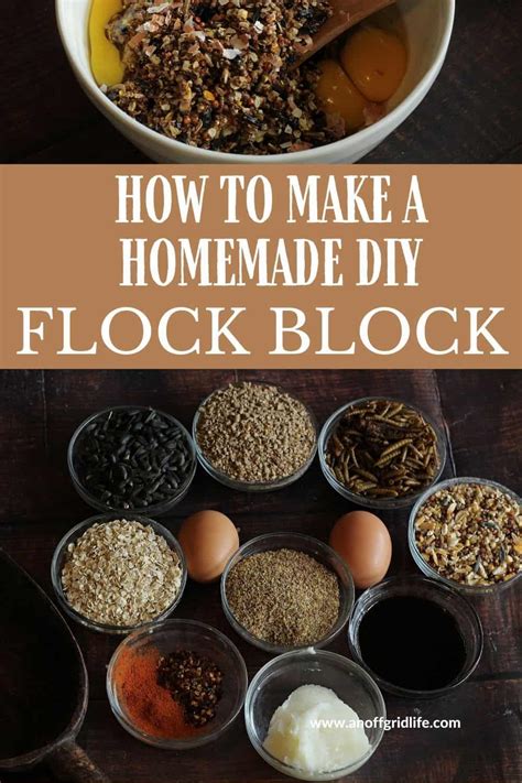 DIY Flock Block For Chickens An Off Grid Life