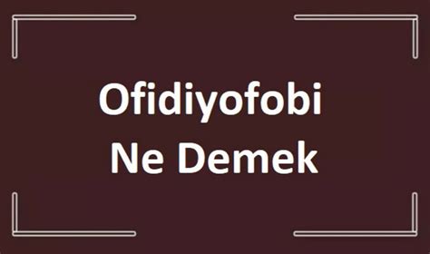 Ofidiyofobi Ne Demek Faydalı Bilgiler Gulum net