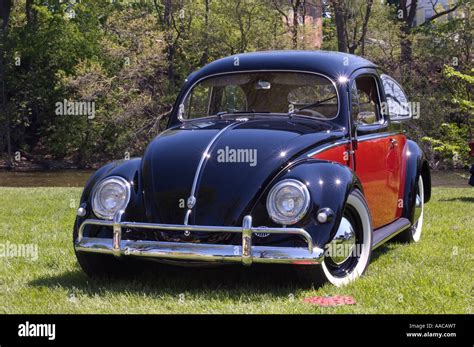 S Beetle Hi Res Stock Photography And Images Alamy