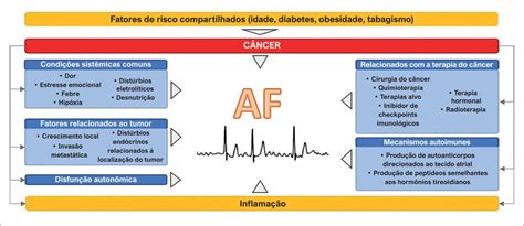 Rastreamento Diagnóstico E Manejo Da Fibrilação Atrial Em Pacientes