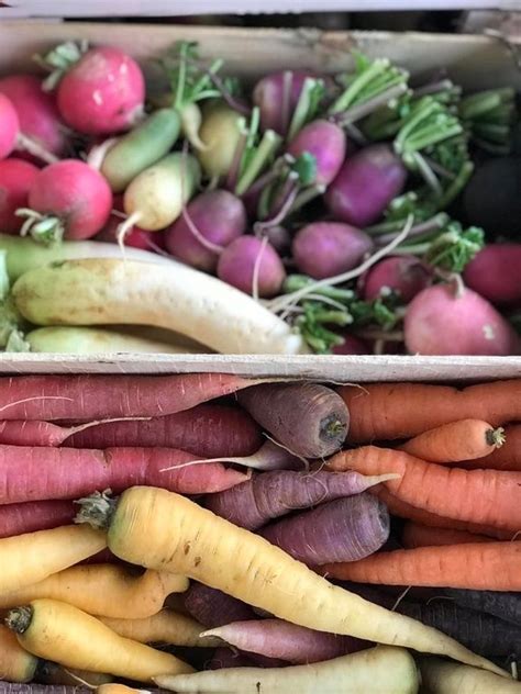 Panier Mixte Fruits Et L Gumes Tailles Au Choix Paniers De