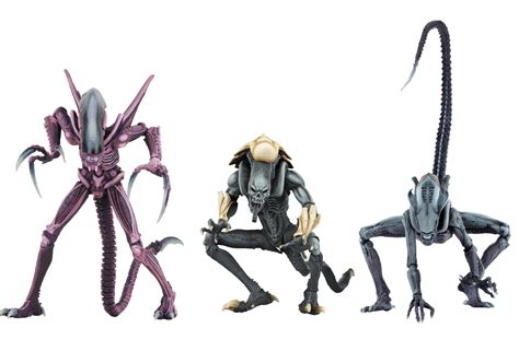 Alien Day 2019 Le Iniziative Alien Universe Italia