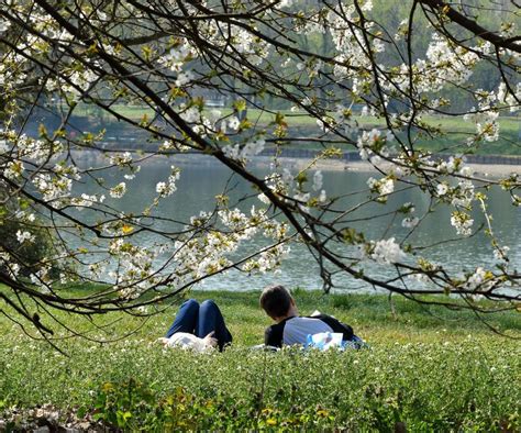 Majówka 2024 Pogoda w Tarnowie na długi weekend Czy będzie ciepło