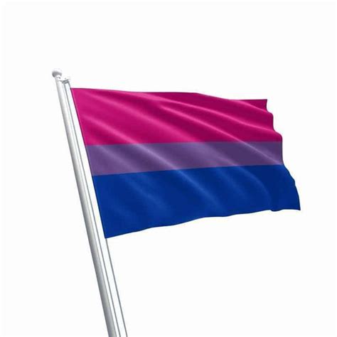 Large Bi Sexual Flag We Show Pride