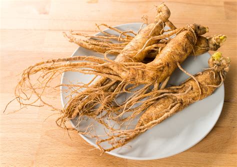 What Is Siberian Ginseng And Why Should You Care