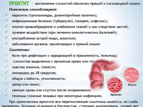 Профилактика заболеваний прямой кишки - презентация онлайн