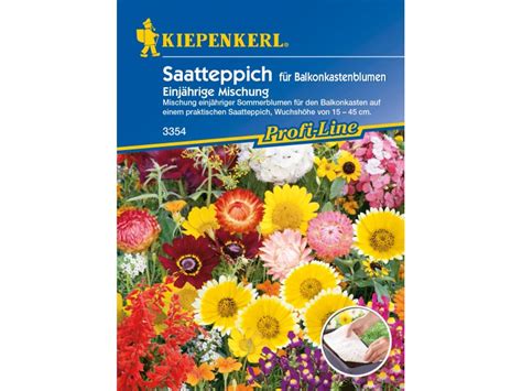 Kiepenkerl Saatteppich F R Balkonkastenblumen Einj Hrige Mischung