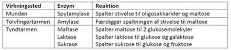 Kulhydraternes fordøjelse og omsætning