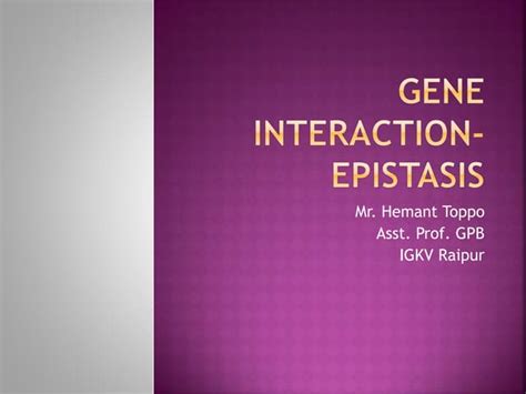 Gene interaction epistasis | PPT