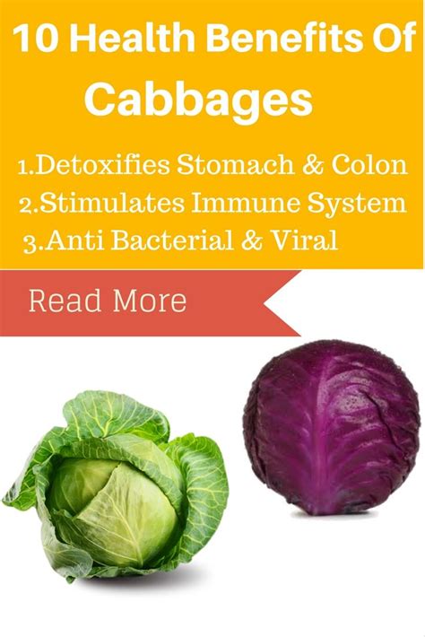 10 Health Benefits Of Cabbage Buzzblend Cabbage Health