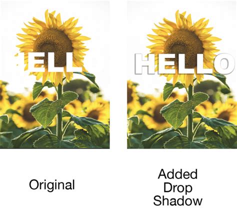 Easy Ways To Add Drop Shadow To Text In Photoshop