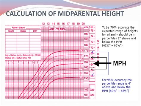 Ppt Measurement Of Growth Anthropometry Powerpoint Presentation Free