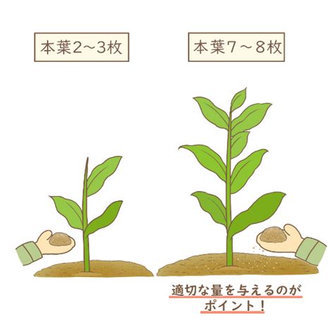 ycqre