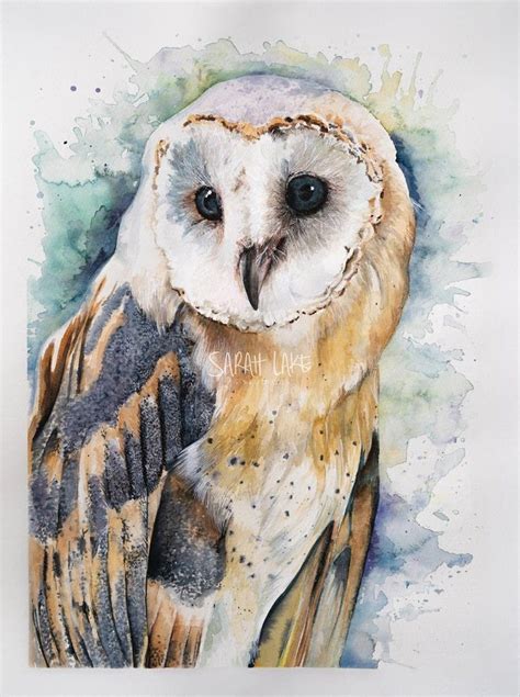 Limited Edition Barn Owl Watercolour Painting Fine Art Giclee Print