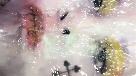 Johanna Pacific Cumslut Gay Porn XHamster