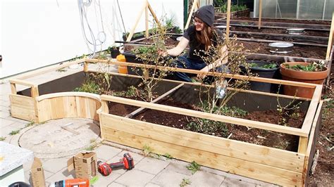 Building A Raised Bed For Blueberries