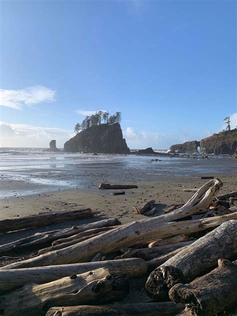 The total twilight experience forks washington – Artofit