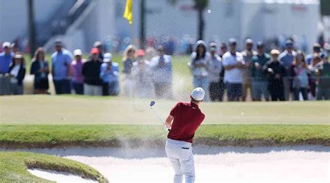 2024 Cognizant Classic: Betting Odds, Picks and a Prop for PGA National ...