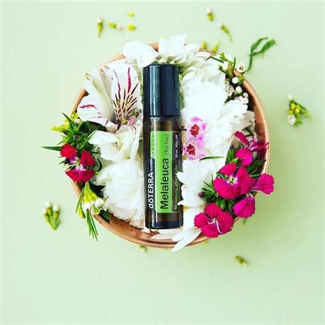 Doterra Rbol Del T Melaleuca Rodillo T Ctil Ml Aromapro