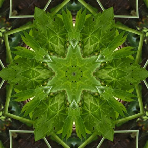 Premium Photo A Kaleidoscope Of Leaves Is Made Up Of A Kaleidoscope