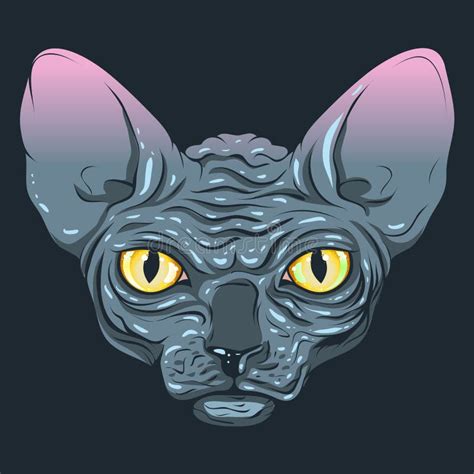 Hairless Sphinx Cat Face Graphics Outline Stock Vector Illustration