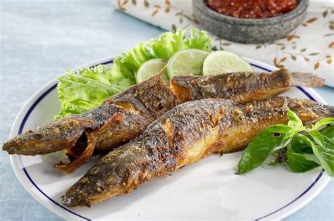 Rahasia Kulit Ikan Lele Goreng Yang Renyah Dan Kering Salah Satunya