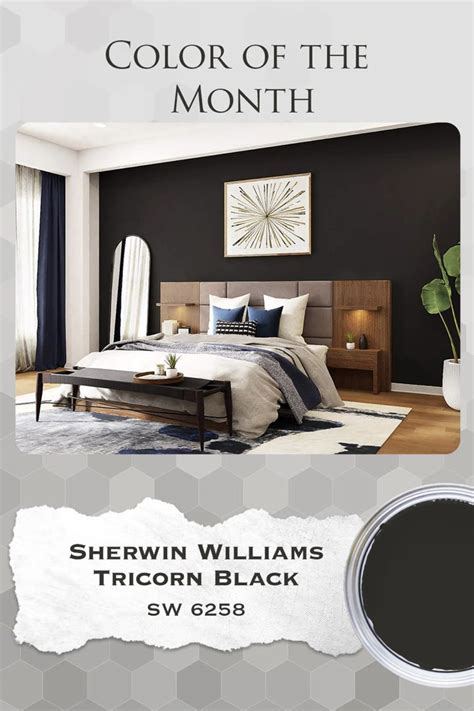 Color Of The Month Sherwin Williams Tricorn Black Artofit