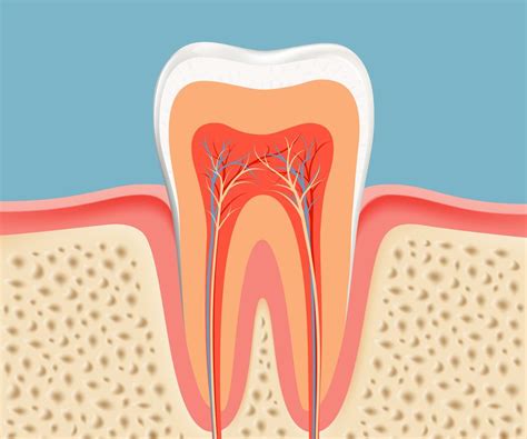 Root Canal Specialist In Brampton We Offer Affordable Root Canal