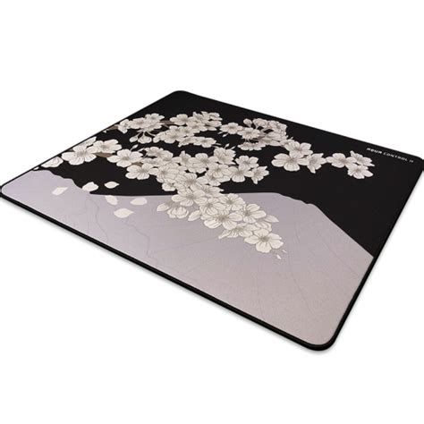 X-raypad Aqua Control II Gaming Mouse Pads – X-raypad US