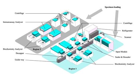 Schematic Representation Of Workflows For Processing Medical Specimens