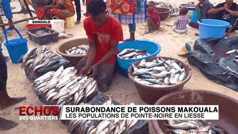 Surabondance De Poissons Makouala Les Populations De Pointe Noire