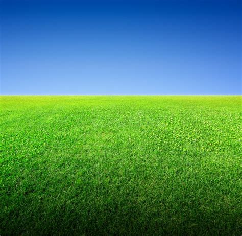 Campo De La Hierba Verde Y Del Cielo Imagen De Archivo Imagen De Nube