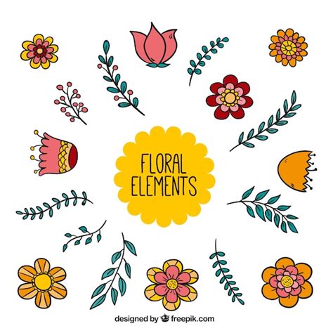 Set De Elementos Florales Decorativos Dibujados A Mano Vector Gratis