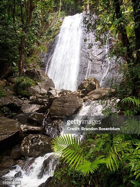 69 El Yunque Waterfalls Stock Photos, High-Res Pictures, and Images ...