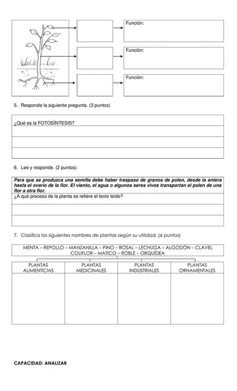 Ciencias Naturales Profe Social