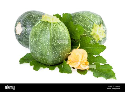 Zucchini Vegetable Isolated White Background Stock Photo Alamy