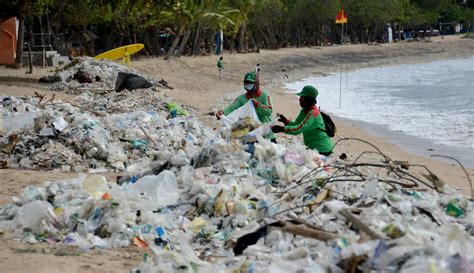 Foto Bersih Bersih Pantai Kuta Yang Penuh Sampah Foto Liputan