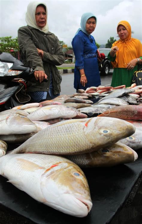 Harga Ikan Naik Antara Foto