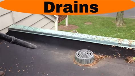 Flat Roof Replacement Guide 58 Off