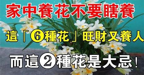 風水大師說：家中養花千萬不要瞎養！這6種花旺財又養人，而這2種花是大忌！ Peekme