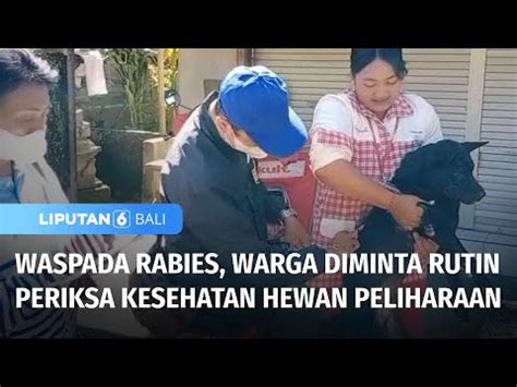 Waspada Rabies Warga Diminta Rutin Periksa Kesehatan Hewan Peliharaan