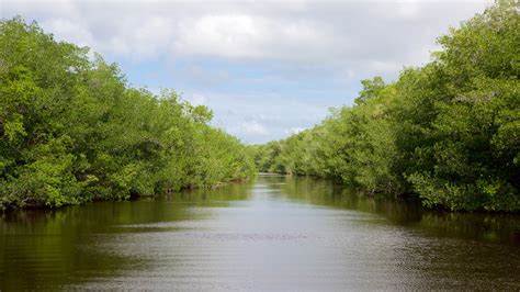 Top 20 Everglades National Park Us Cabin Rentals Vrbo