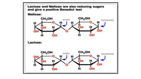 Qualitative Analysis Of Carbohydrates Ppt