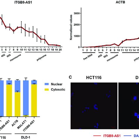 Itgb As Sponges Mirnas To Regulate The Expression Of Integrins A