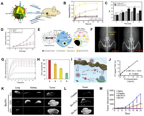 Ct Image Guided Chemotherapy A Schematic Illustration Of