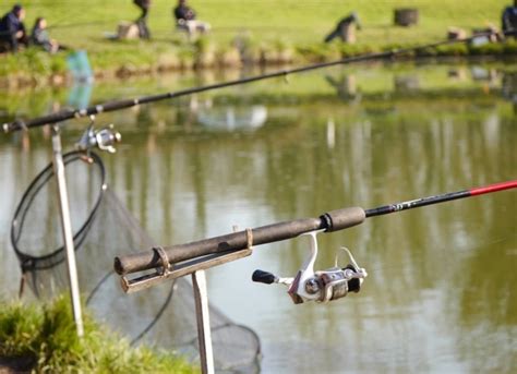 Pisciculture De Villette Villette Yvelines Bienvenue La Ferme