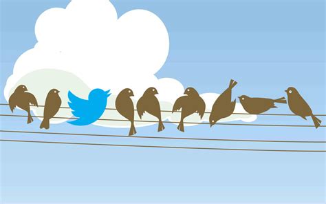 Как выбрать биржу рекламы в Twitter – советы по эффективному ...